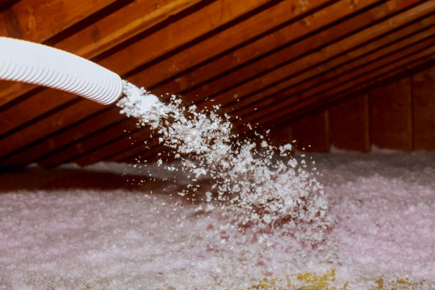 Best Eco-Friendly Insulation in South Duxbury, MA